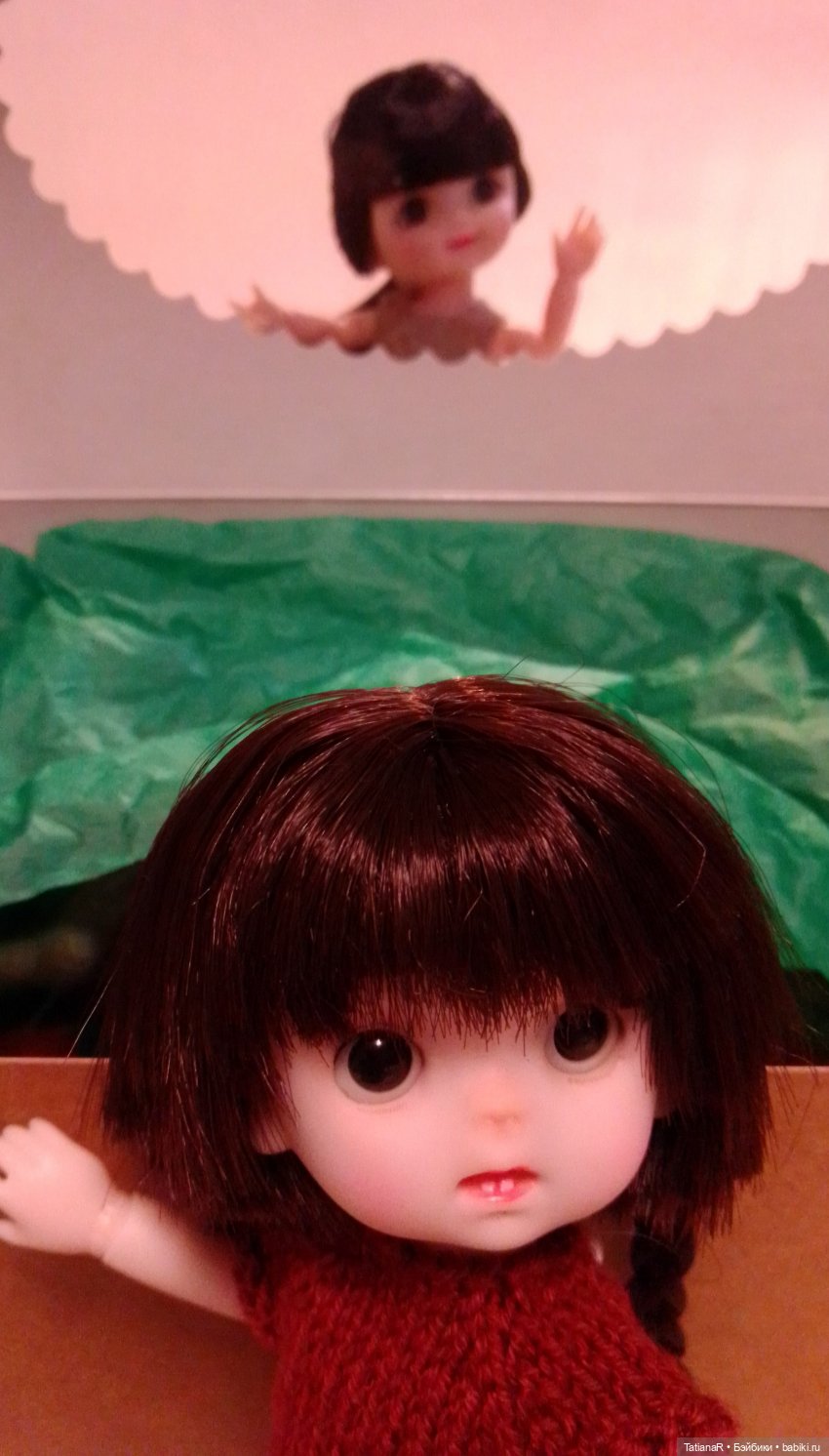 Баболи и я. Удивительное рядом