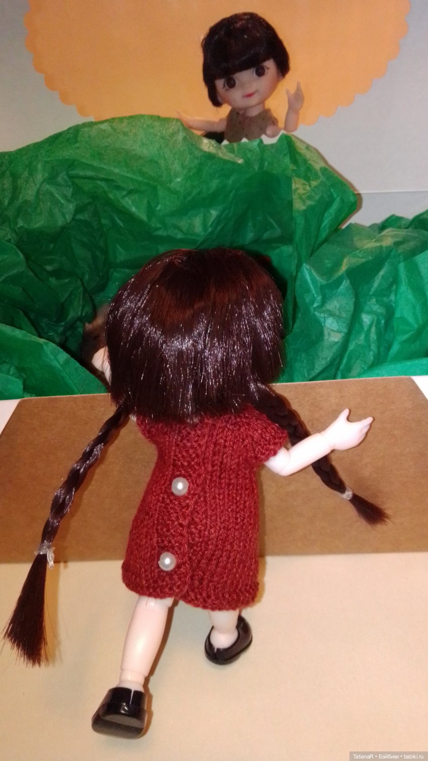 Баболи и я. Удивительное рядом