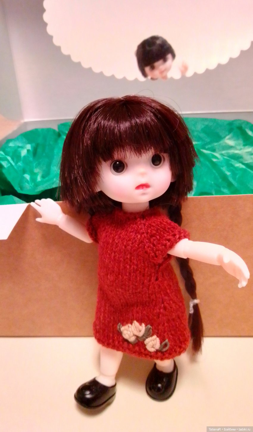 Баболи и я. Удивительное рядом