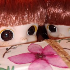 Баболи и сюрпризы. Куда бегут зайцы?