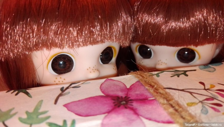 Баболи и сюрпризы. Куда бегут зайцы