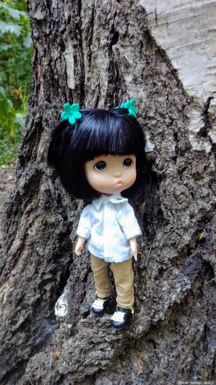 Даша и Синяя Шапочка. Ещё раз про мечты.Азиатские куклы DuoDing