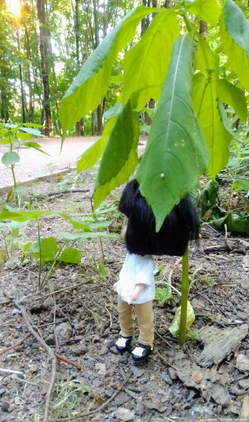 Даша и Синяя Шапочка. Ещё раз про мечты.Азиатские куклы DuoDing (фото 8)