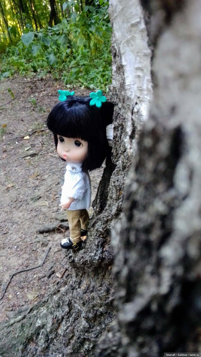 Даша и Синяя Шапочка. Ещё раз про мечты.Азиатские куклы DuoDing