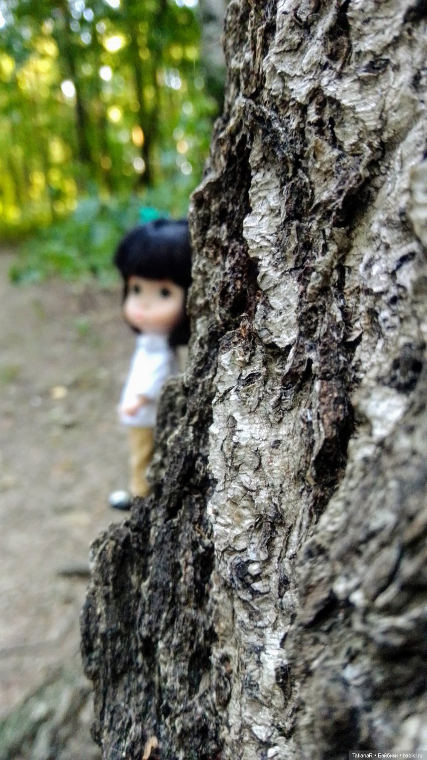 Даша и Синяя Шапочка. Ещё раз про мечты.Азиатские куклы DuoDing