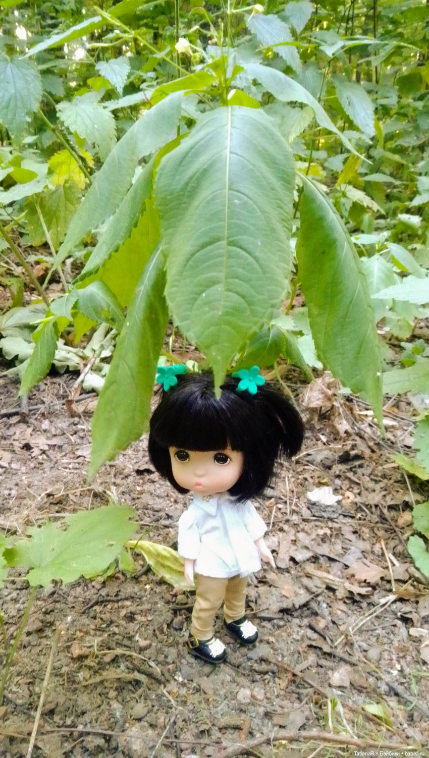 Даша и Синяя Шапочка. Ещё раз про мечты.Азиатские куклы DuoDing (фото 10)