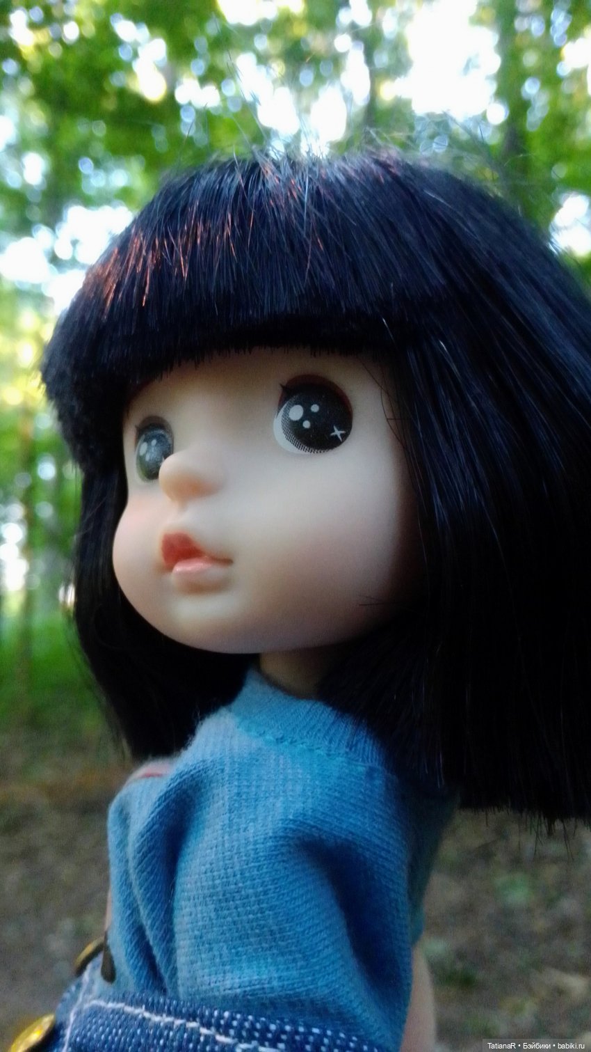 Даша и Синяя Шапочка. Ещё раз про мечты.Азиатские куклы DuoDing