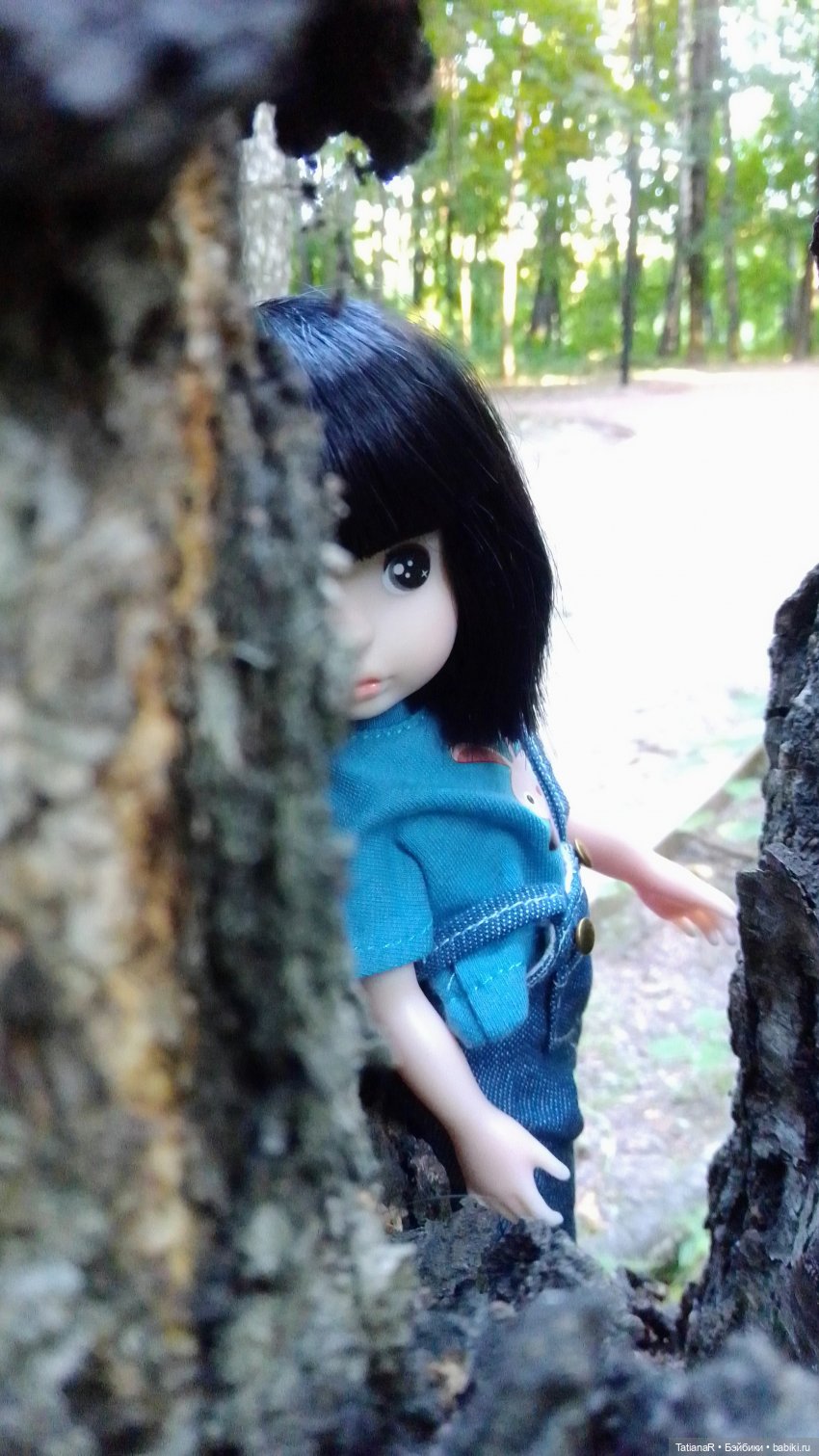 Даша и Синяя Шапочка. Ещё раз про мечты.Азиатские куклы DuoDing