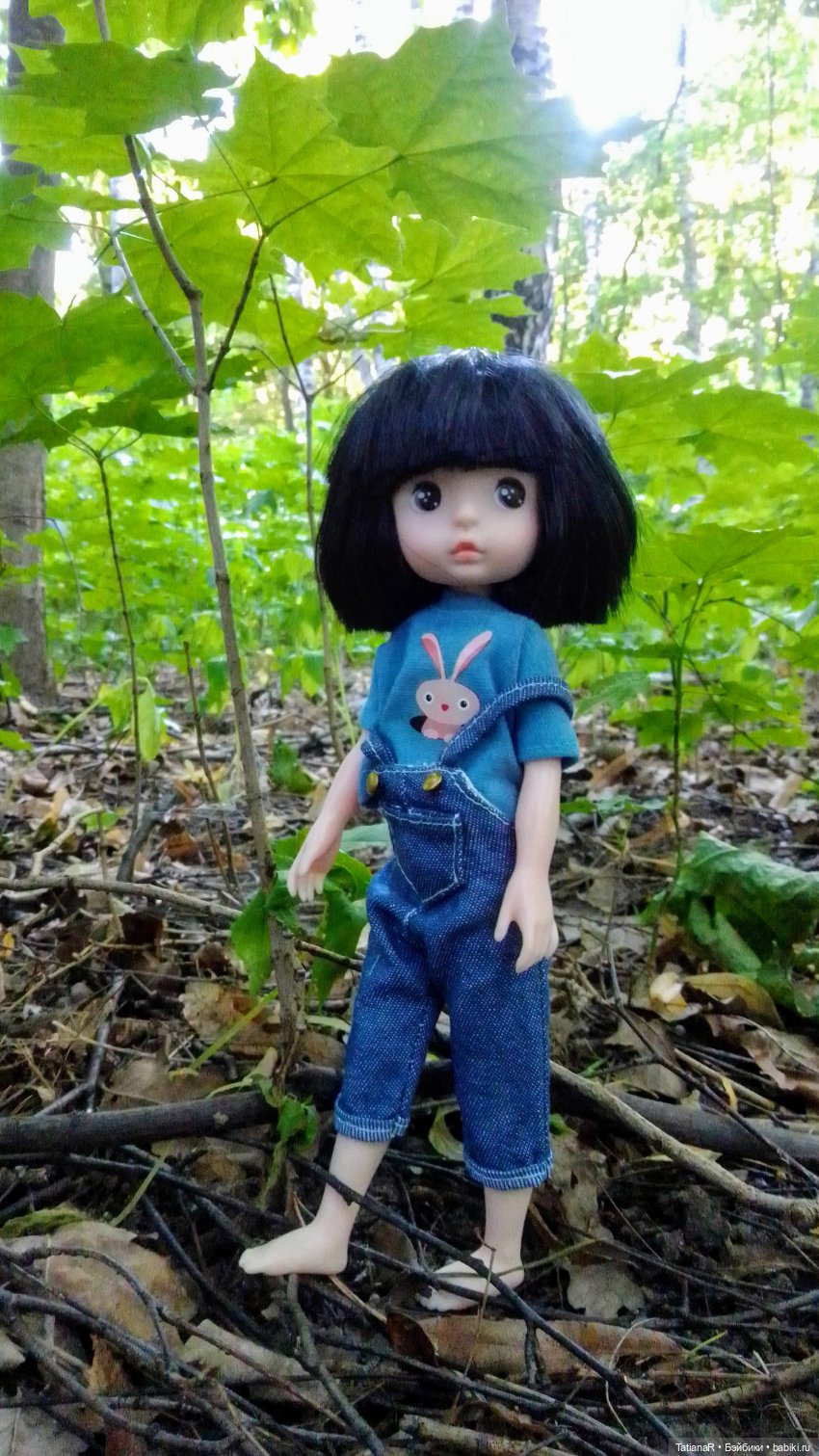 Даша и Синяя Шапочка. Ещё раз про мечты.Азиатские куклы DuoDing