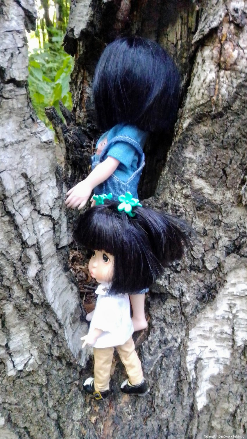 Даша и Синяя Шапочка. Ещё раз про мечты.Азиатские куклы DuoDing