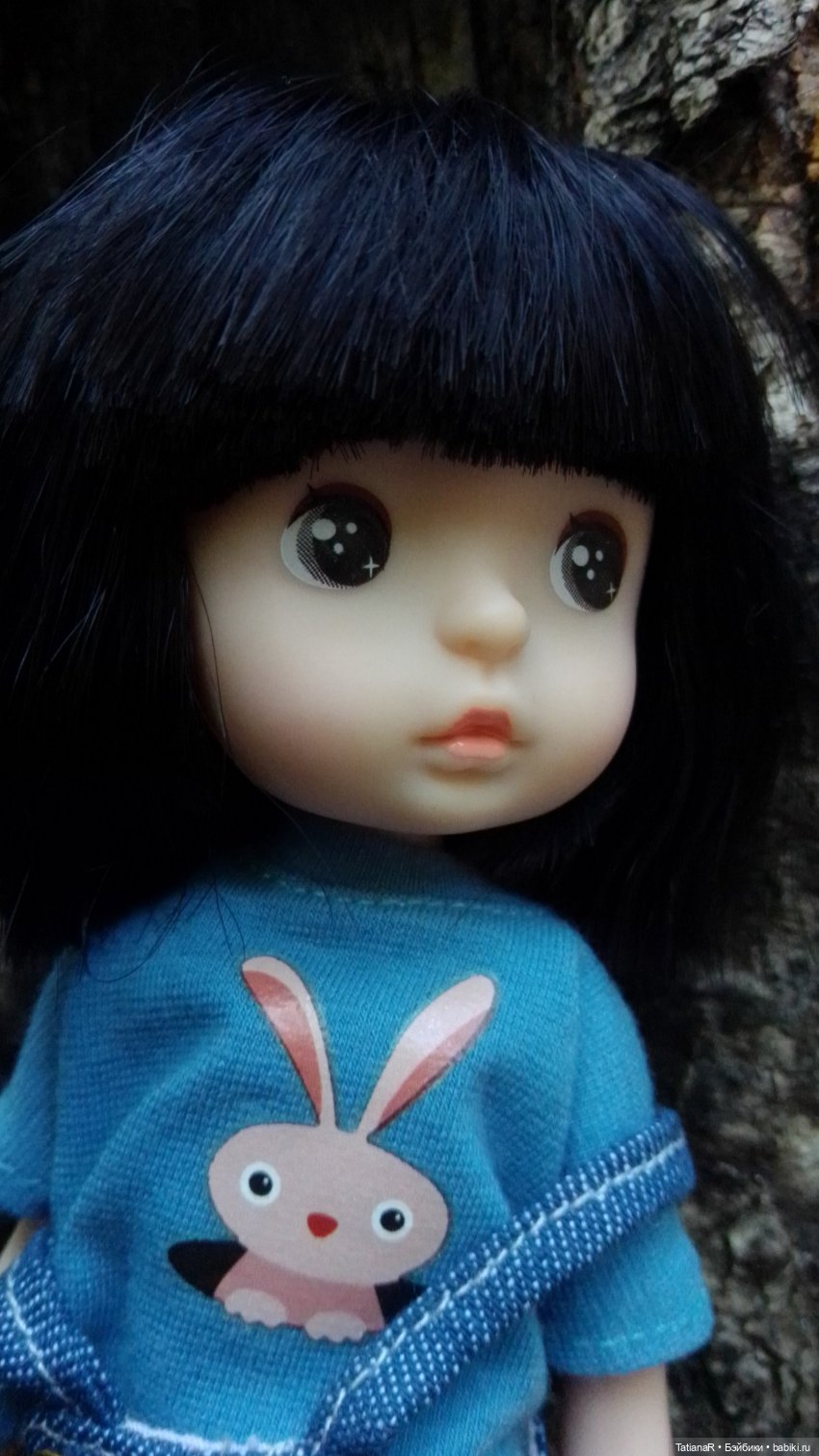 Даша и Синяя Шапочка. Ещё раз про мечты.Азиатские куклы DuoDing