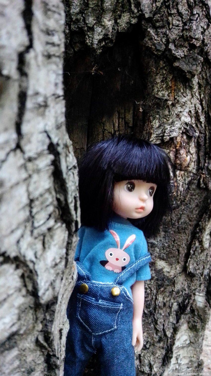 Даша и Синяя Шапочка. Ещё раз про мечты.Азиатские куклы DuoDing