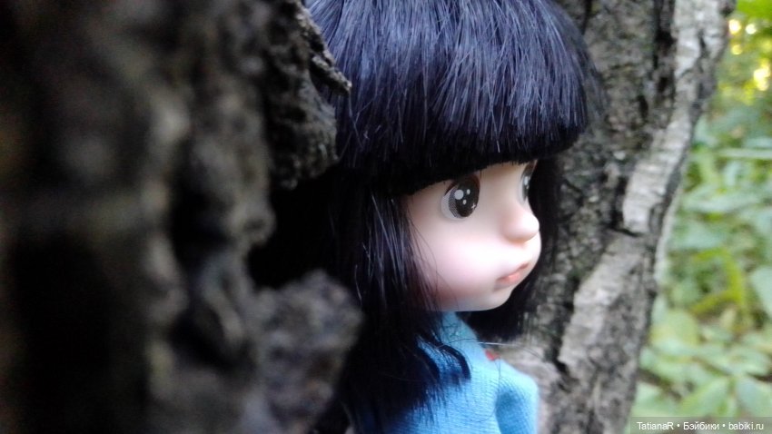 Даша и Синяя Шапочка. Ещё раз про мечты.Азиатские куклы DuoDing