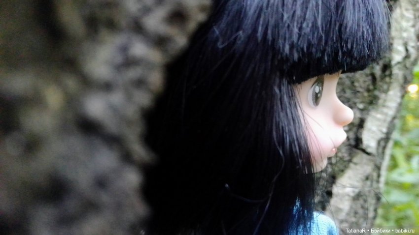 Даша и Синяя Шапочка. Ещё раз про мечты.Азиатские куклы DuoDing