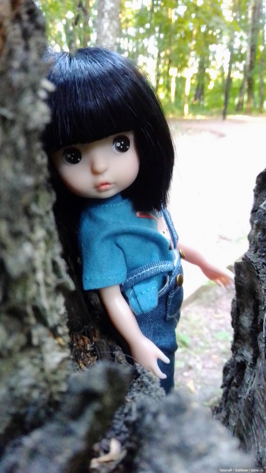 Даша и Синяя Шапочка. Ещё раз про мечты.Азиатские куклы DuoDing