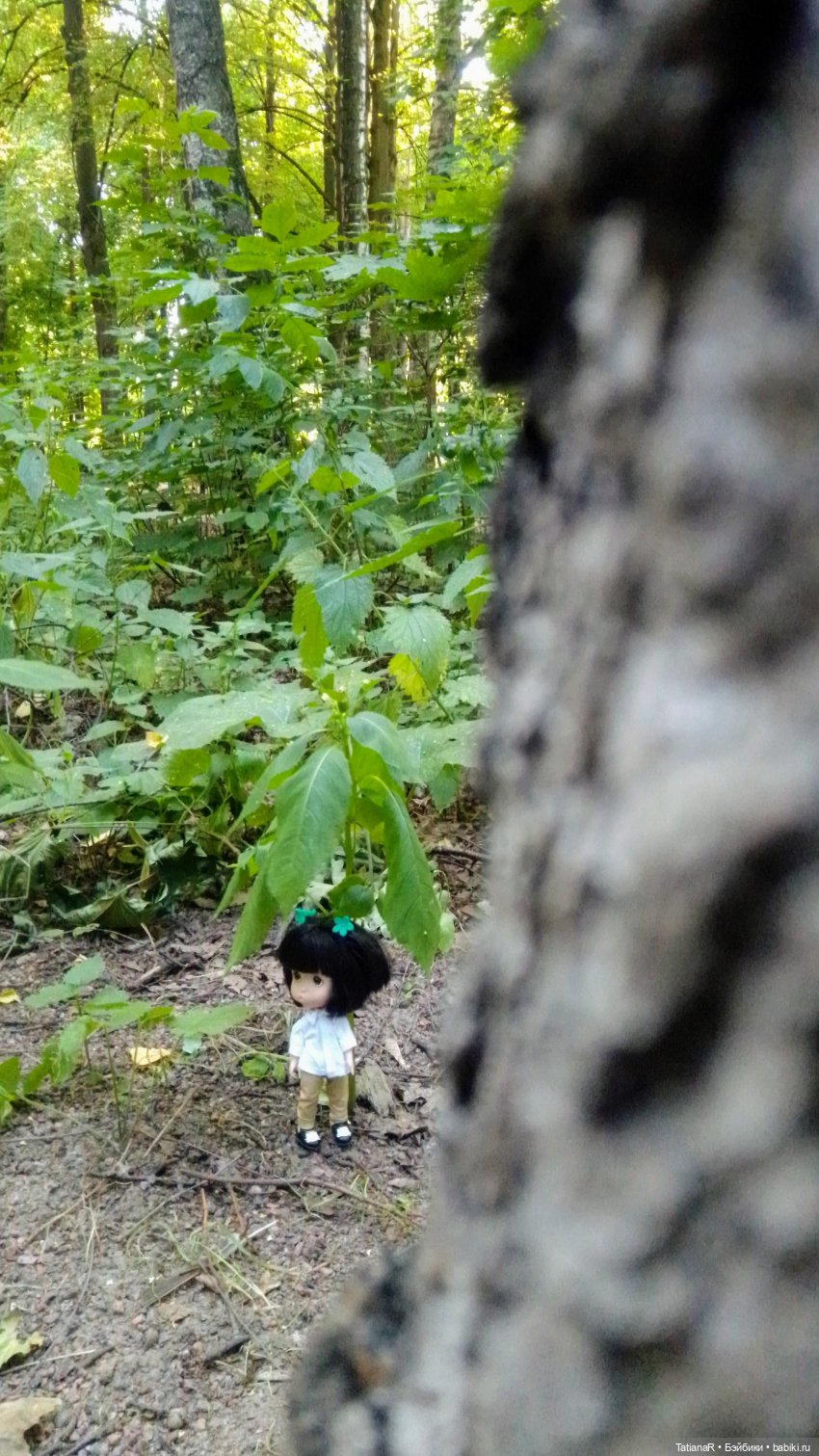 Даша и Синяя Шапочка. Ещё раз про мечты.Азиатские куклы DuoDing