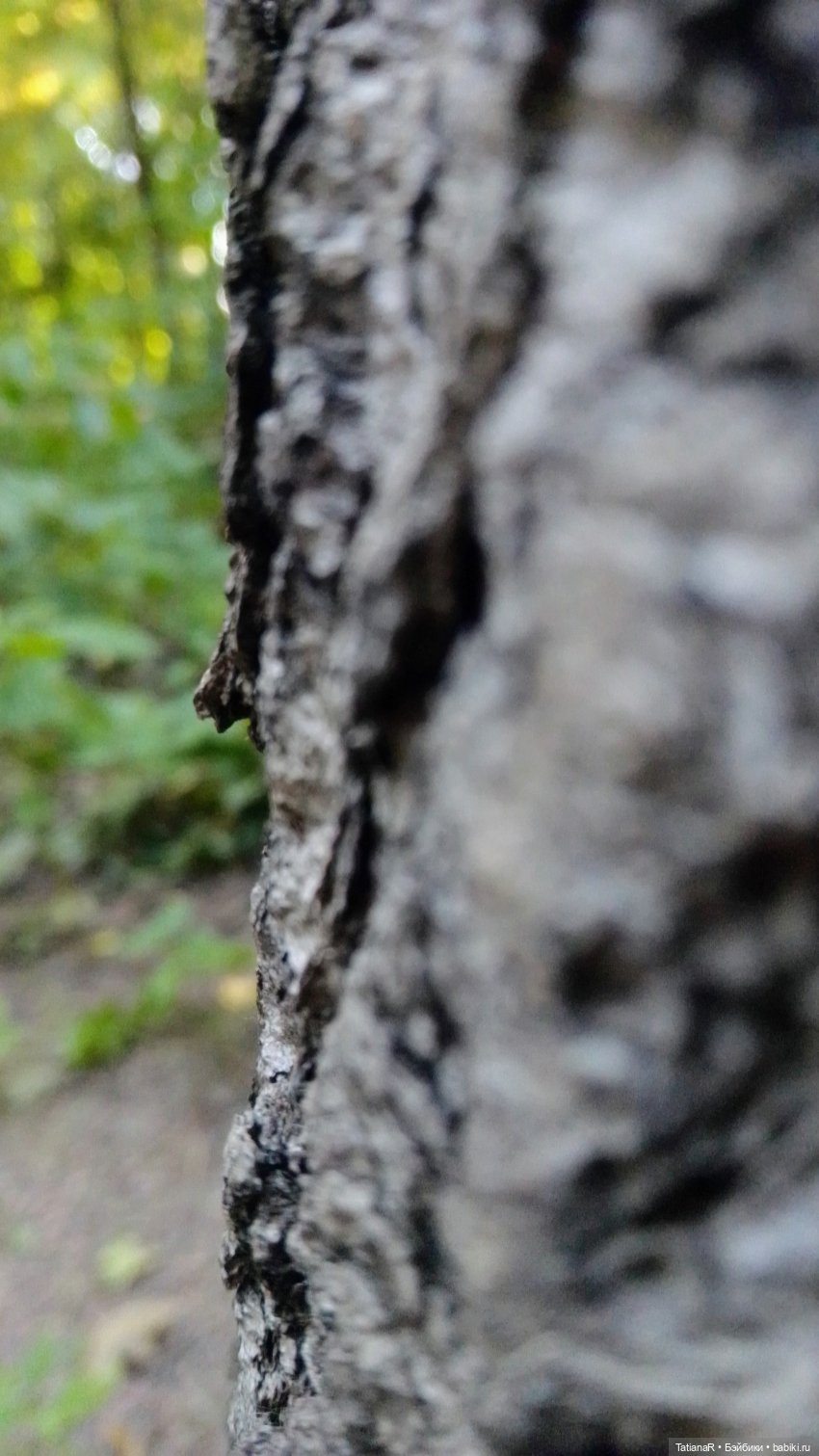 Даша и Синяя Шапочка. Ещё раз про мечты.Азиатские куклы DuoDing