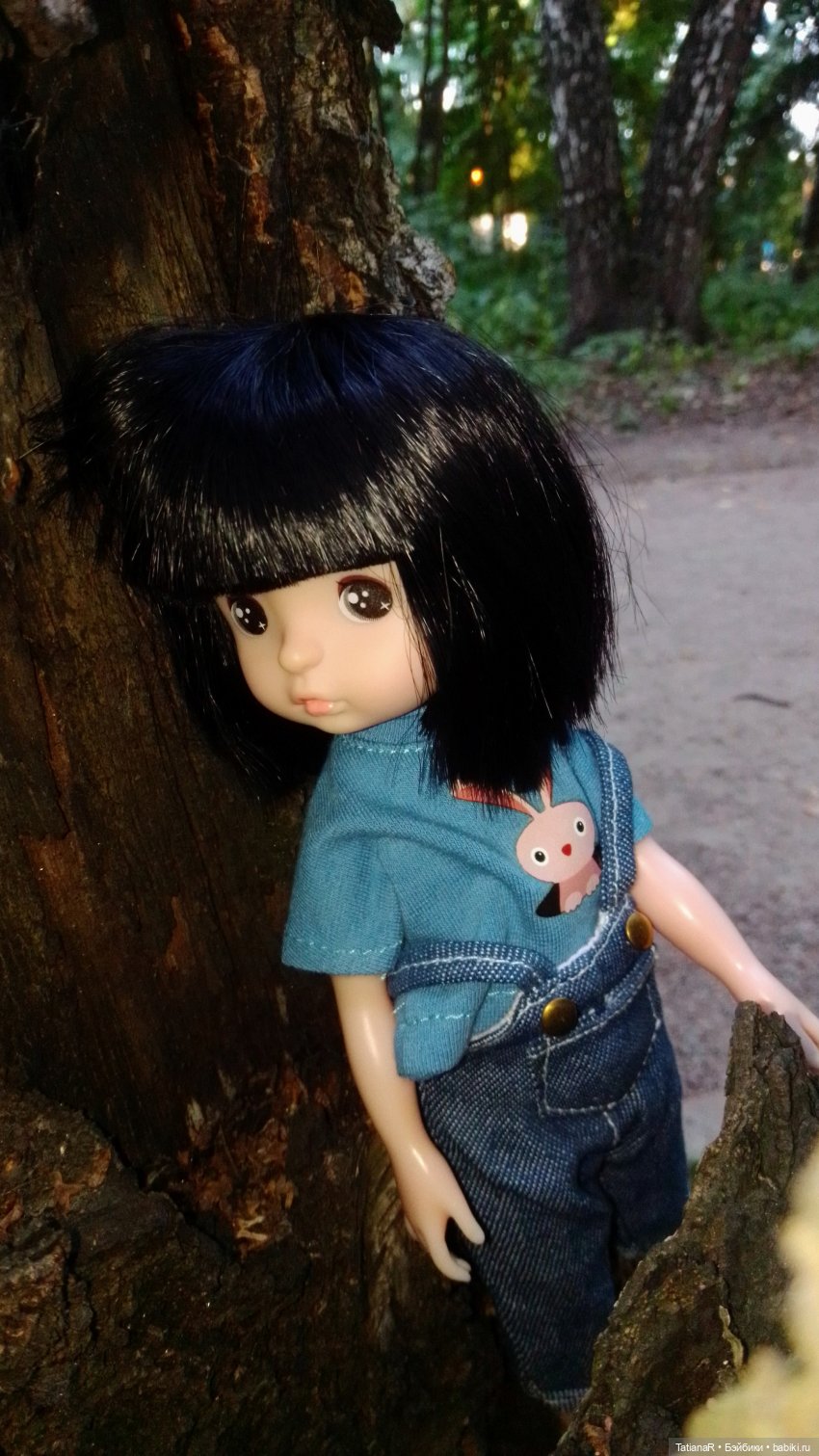 Даша и Синяя Шапочка. Ещё раз про мечты.Азиатские куклы DuoDing