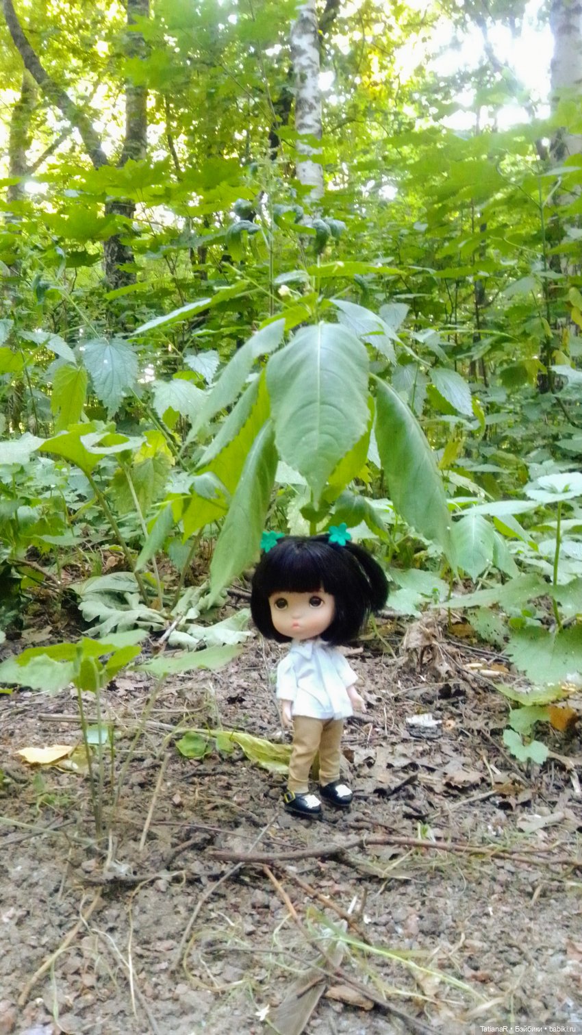 Даша и Синяя Шапочка. Ещё раз про мечты.Азиатские куклы DuoDing