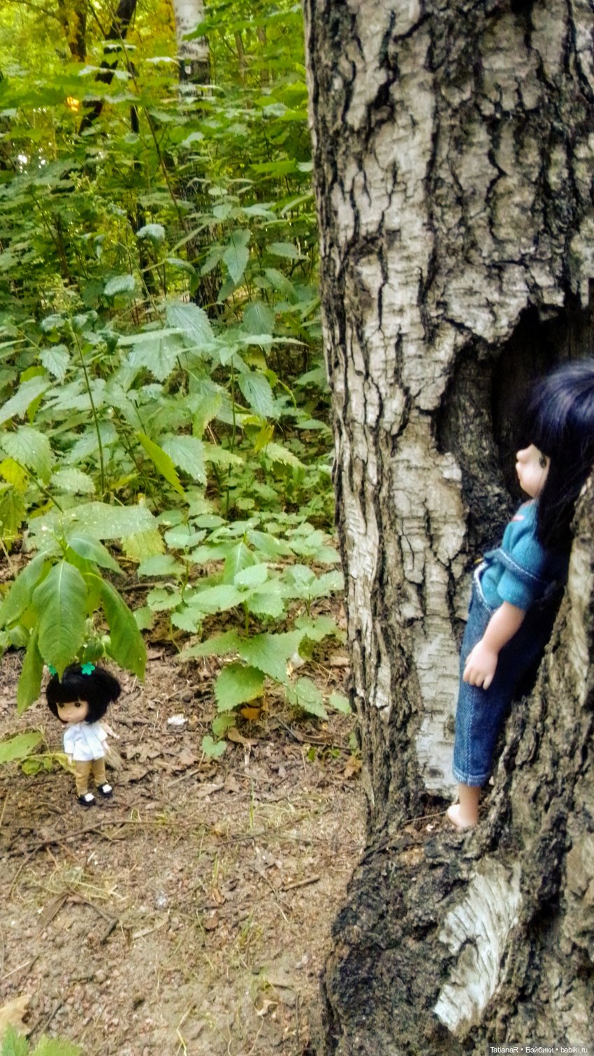 Даша и Синяя Шапочка. Ещё раз про мечты.Азиатские куклы DuoDing