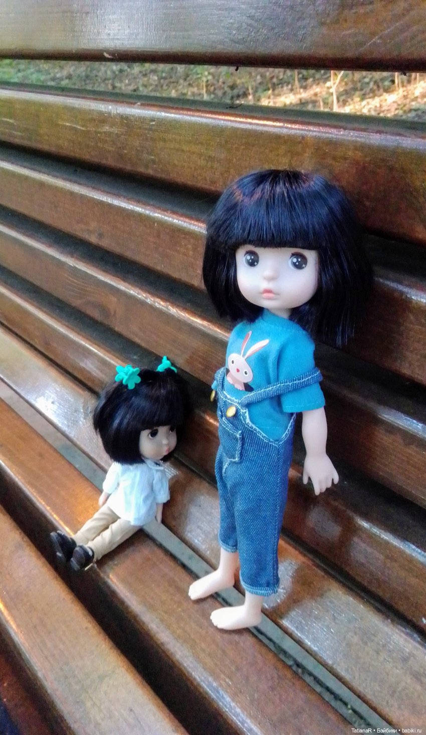 Даша и Синяя Шапочка. Ещё раз про мечты.Азиатские куклы DuoDing