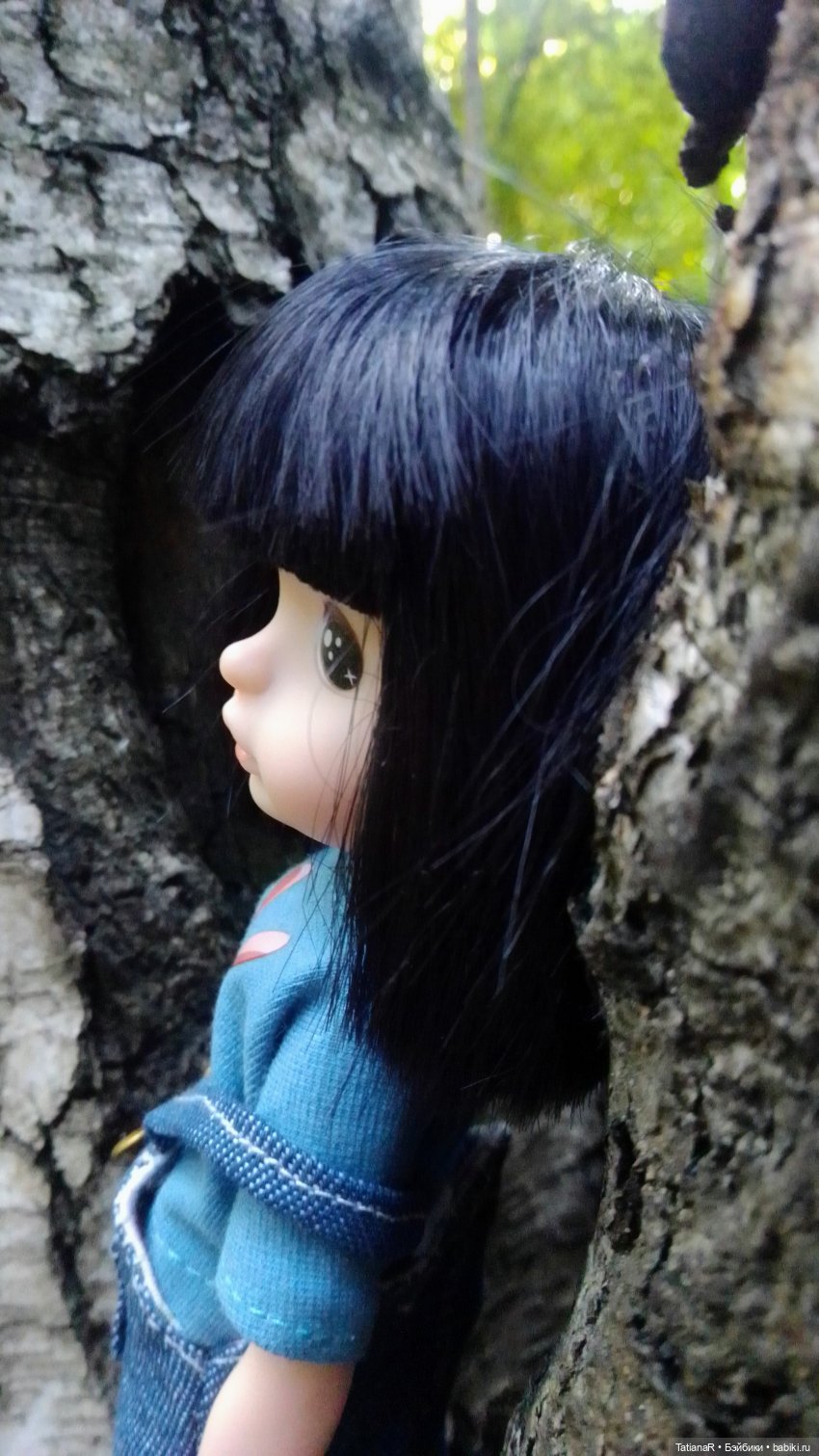 Даша и Синяя Шапочка. Ещё раз про мечты.Азиатские куклы DuoDing