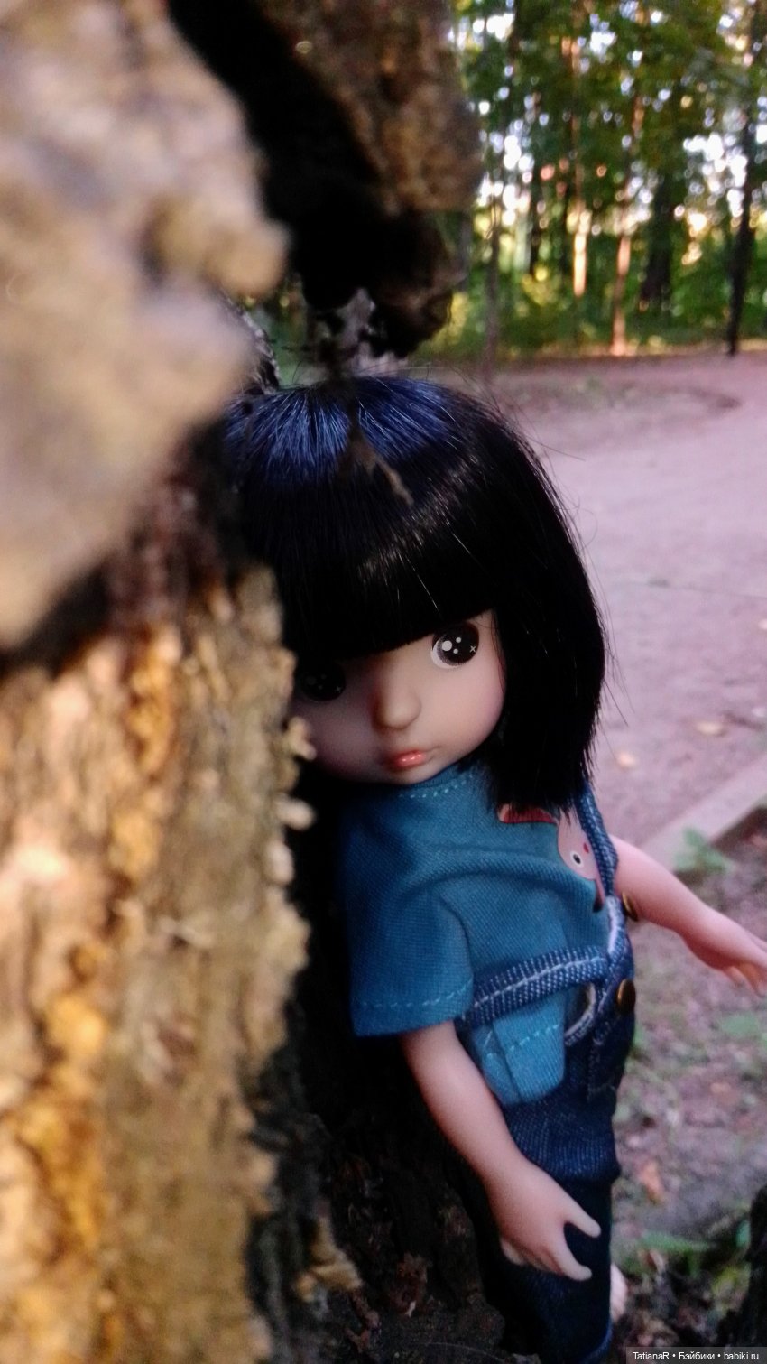 Даша и Синяя Шапочка. Ещё раз про мечты.Азиатские куклы DuoDing