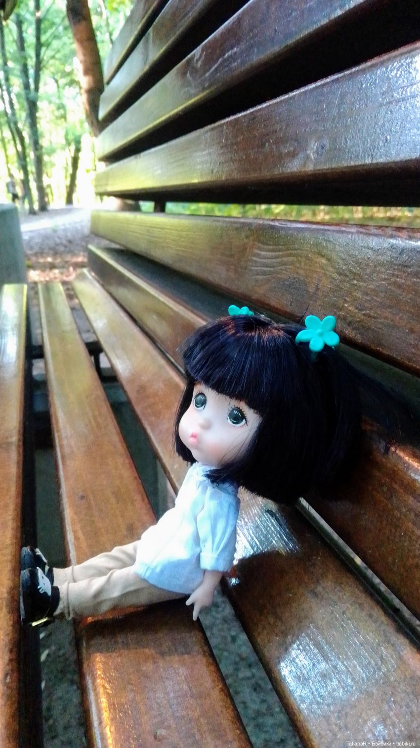 Даша и Синяя Шапочка. Ещё раз про мечты.Азиатские куклы DuoDing