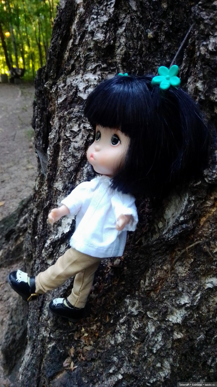 Даша и Синяя Шапочка. Ещё раз про мечты.Азиатские куклы DuoDing