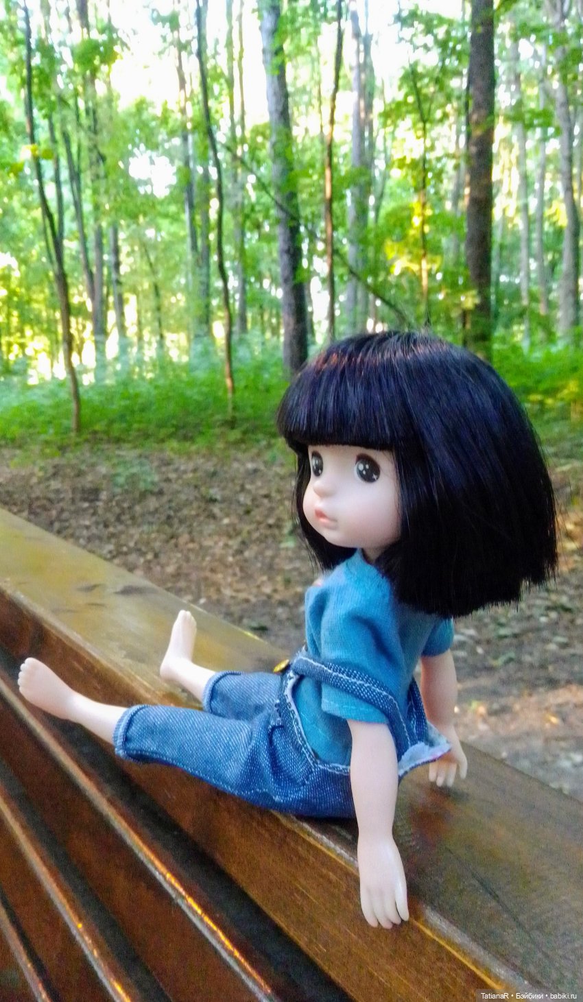 Даша и Синяя Шапочка. Ещё раз про мечты.Азиатские куклы DuoDing