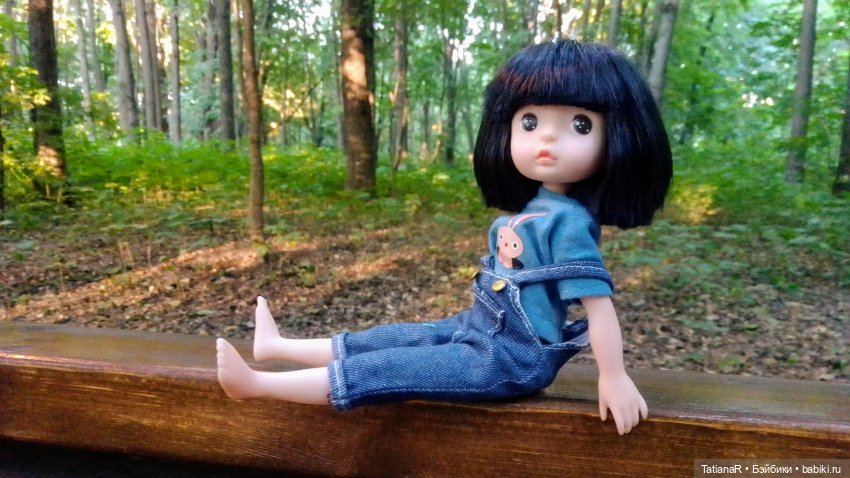 Даша и Синяя Шапочка. Ещё раз про мечты.Азиатские куклы DuoDing