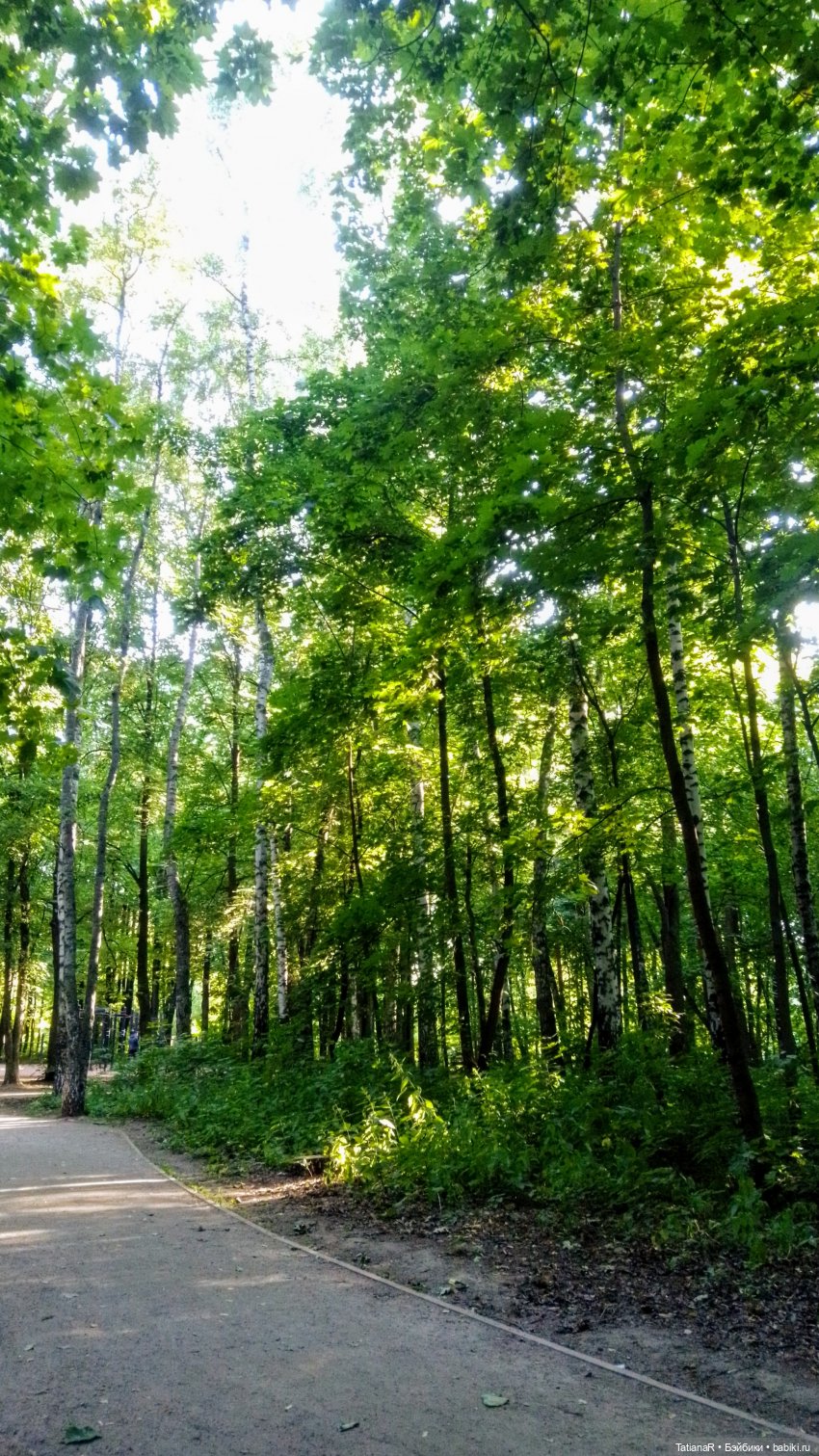 Даша и Синяя Шапочка. Ещё раз про мечты.Азиатские куклы DuoDing (фото 9)