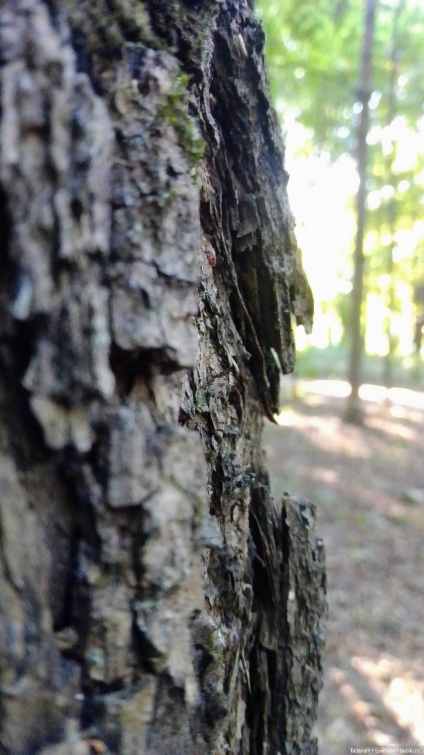 Даша и Синяя Шапочка. Ещё раз про мечты.Азиатские куклы DuoDing