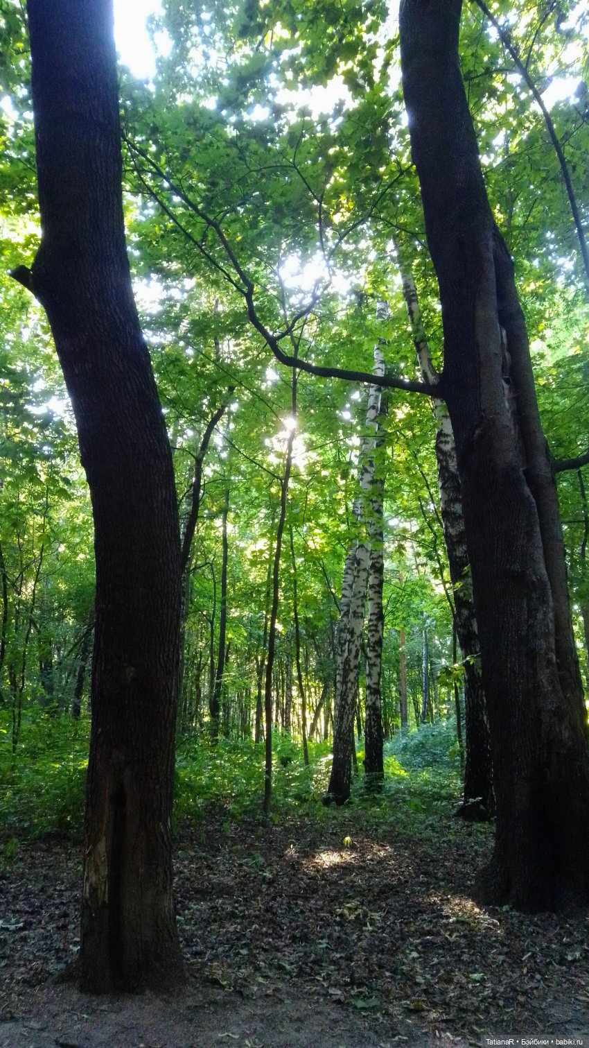 Даша и Синяя Шапочка. Ещё раз про мечты.Азиатские куклы DuoDing (фото 7)