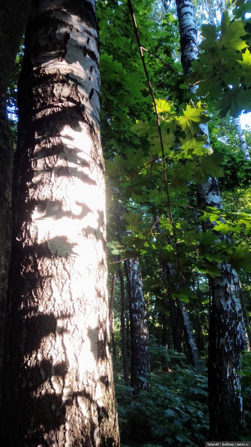 Даша и Синяя Шапочка. Ещё раз про мечты.Азиатские куклы DuoDing (фото 2)