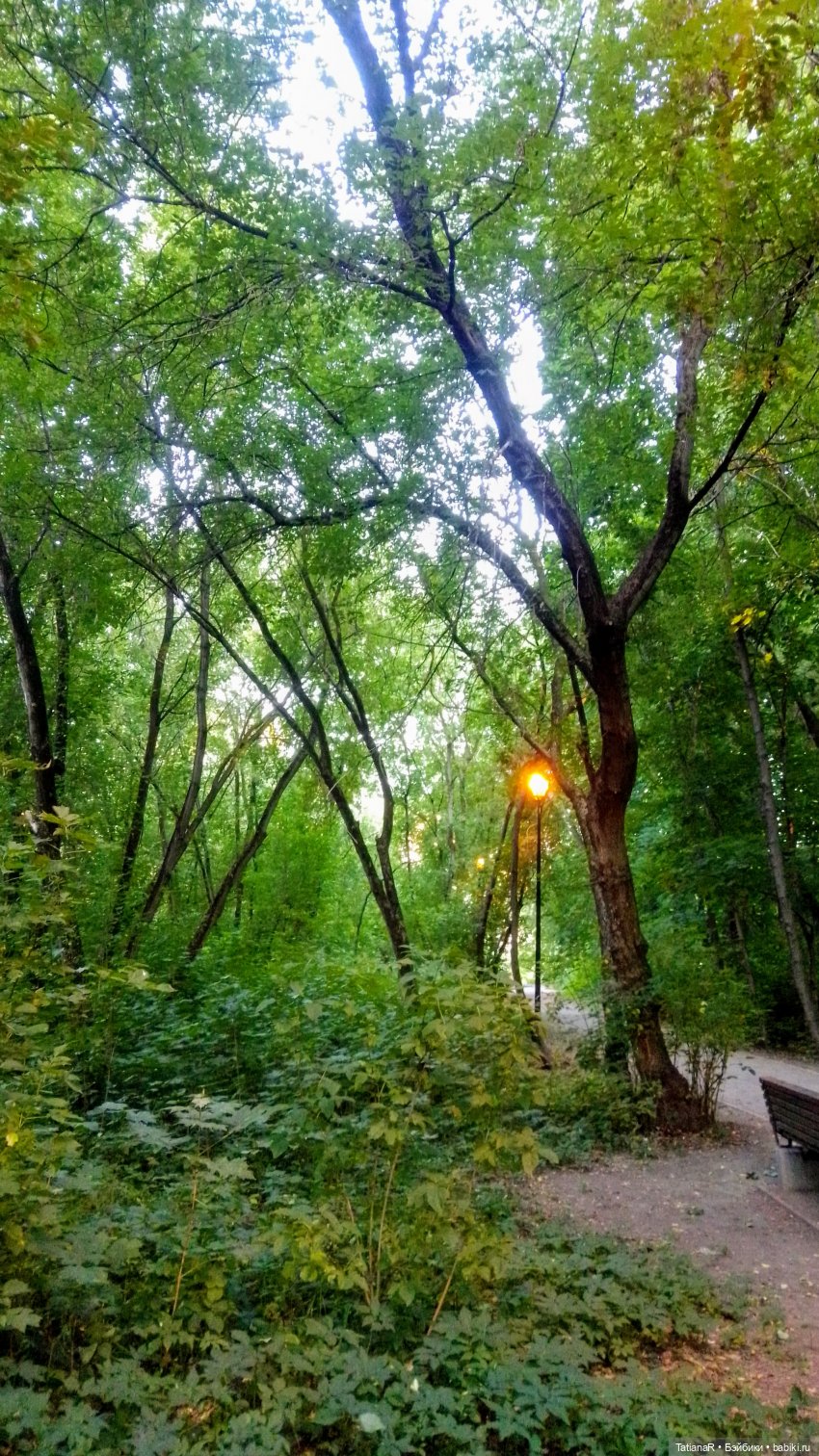 Даша и Синяя Шапочка. Ещё раз про мечты.Азиатские куклы DuoDing