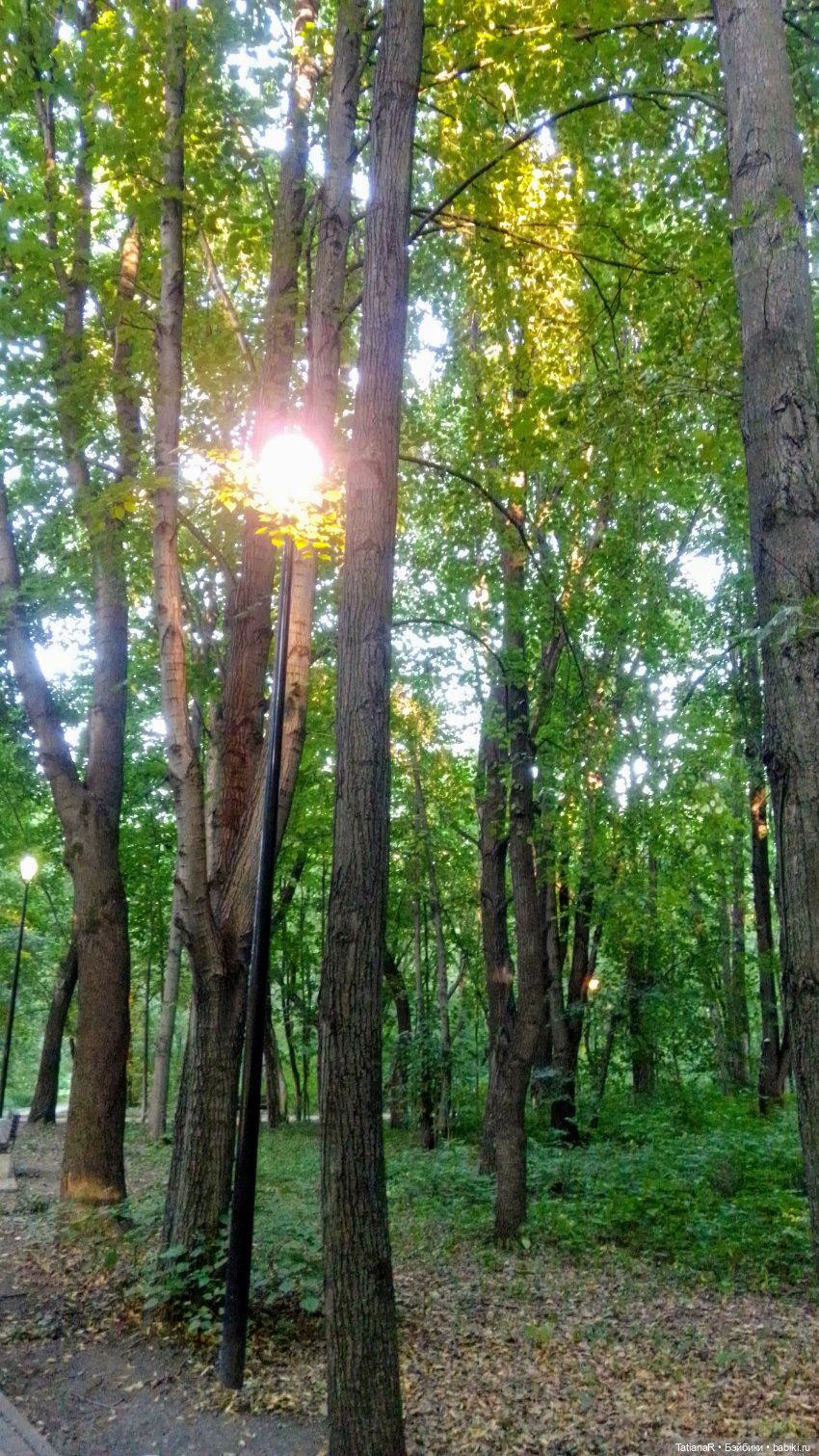 Даша и Синяя Шапочка. Ещё раз про мечты.Азиатские куклы DuoDing