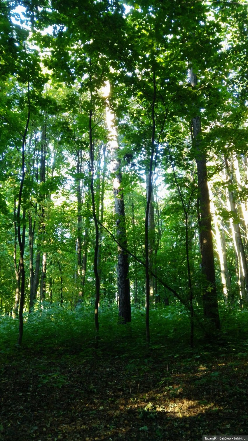 Даша и Синяя Шапочка. Ещё раз про мечты.Азиатские куклы DuoDing (фото 5)