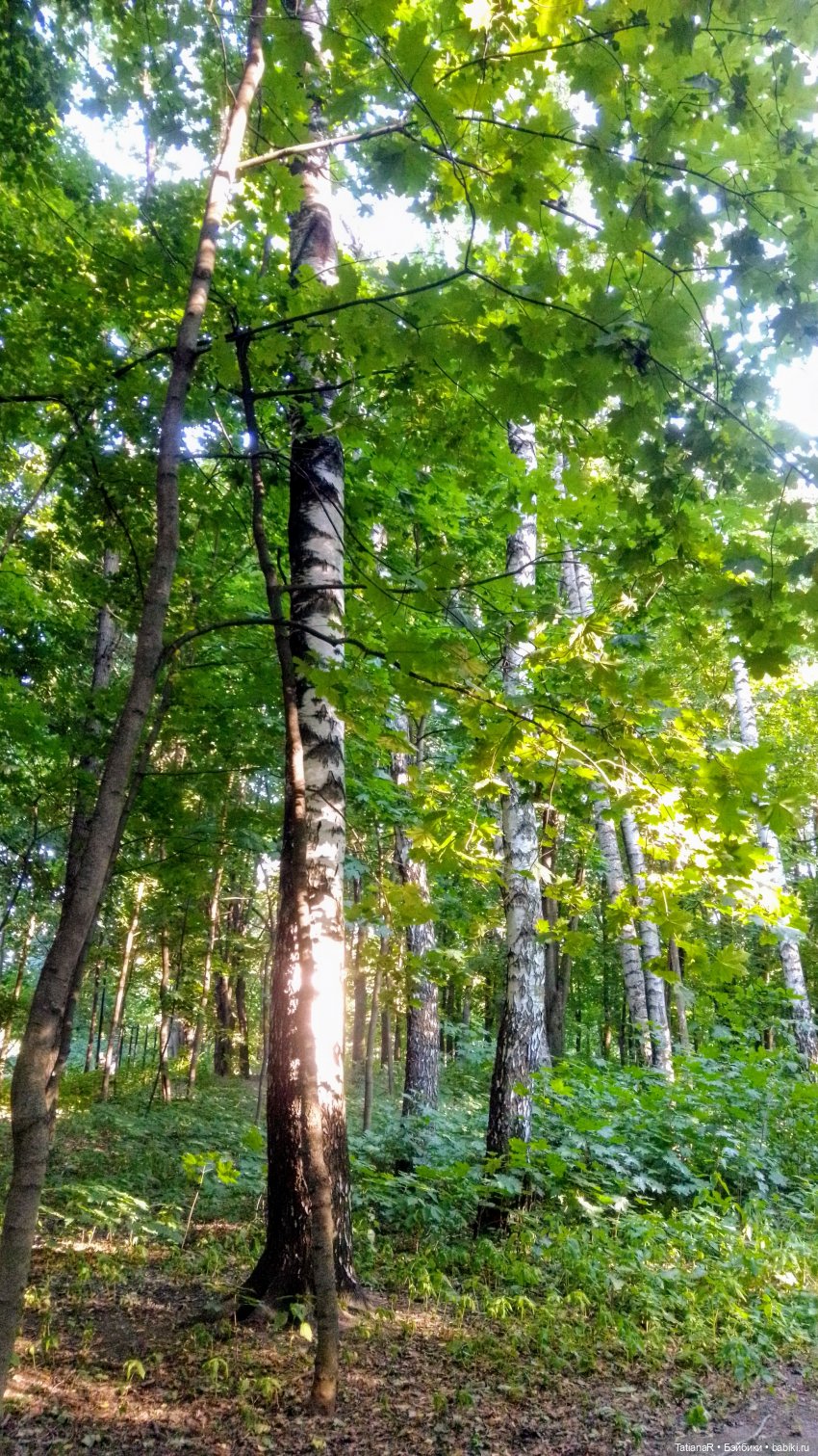 Даша и Синяя Шапочка. Ещё раз про мечты.Азиатские куклы DuoDing