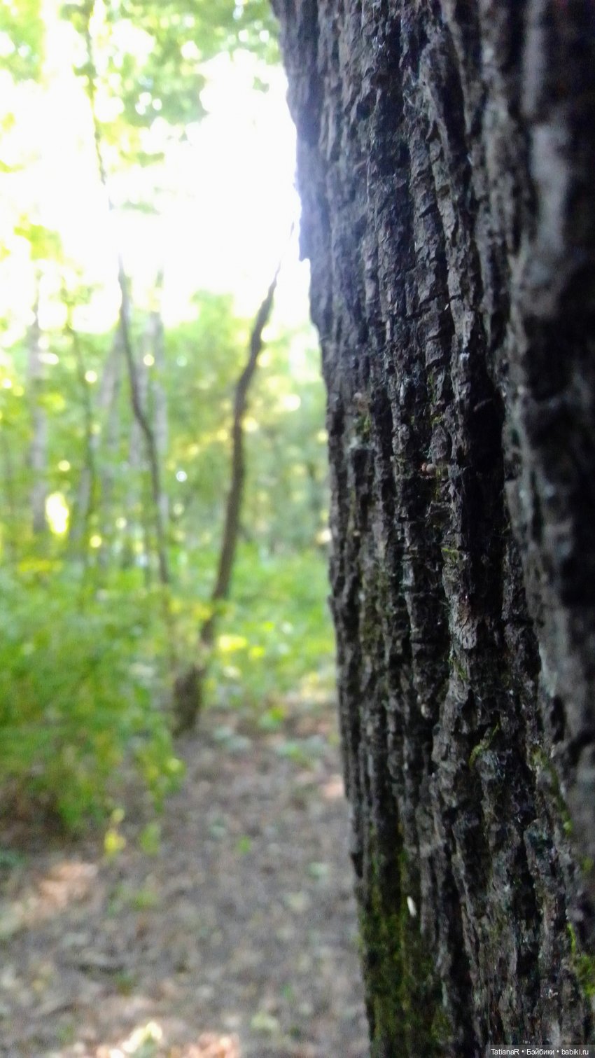 Даша и Синяя Шапочка. Ещё раз про мечты.Азиатские куклы DuoDing