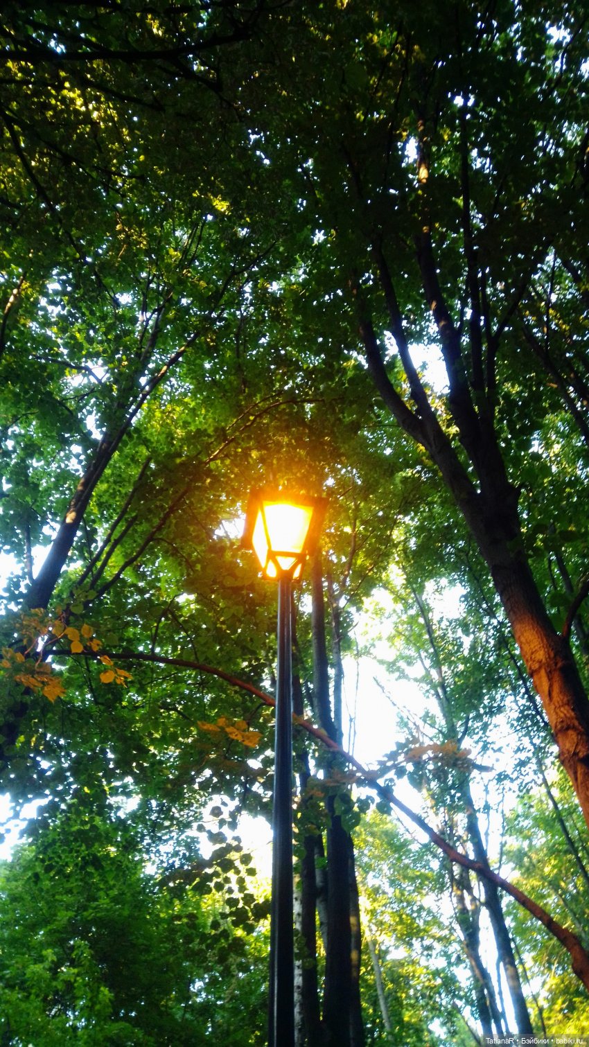 Даша и Синяя Шапочка. Ещё раз про мечты.Азиатские куклы DuoDing