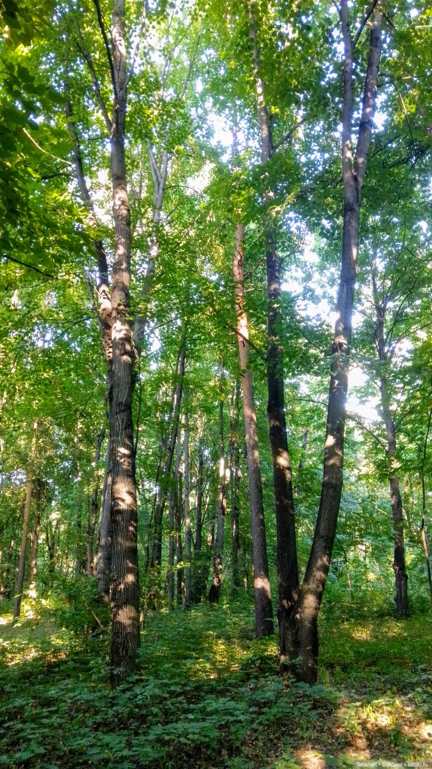 Даша и Синяя Шапочка. Ещё раз про мечты.Азиатские куклы DuoDing