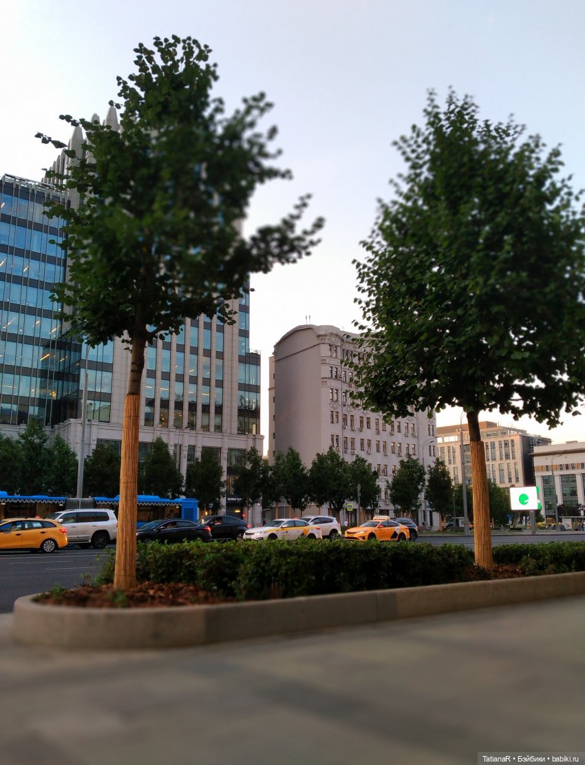 Данута и ее лето в городе. Азиатские коллекционные куклы DuoDing Dokelly Toys