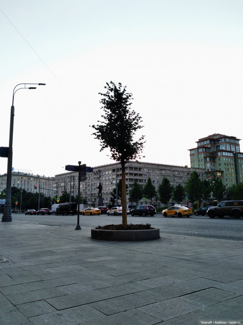 Данута и ее лето в городе. Азиатские коллекционные куклы DuoDing Dokelly Toys (фото 7)