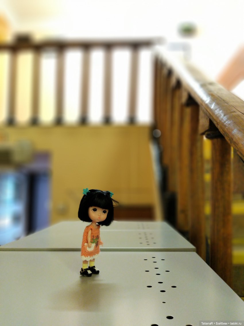 Данута и ее лето в городе. Азиатские коллекционные куклы DuoDing Dokelly Toys