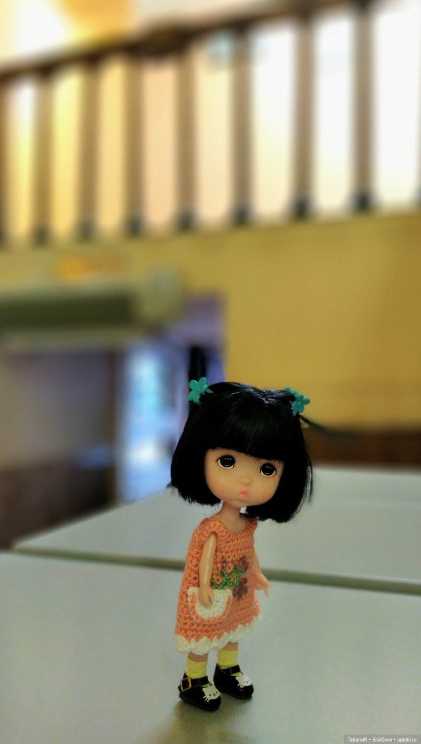 Данута и ее лето в городе. Азиатские коллекционные куклы DuoDing Dokelly Toys