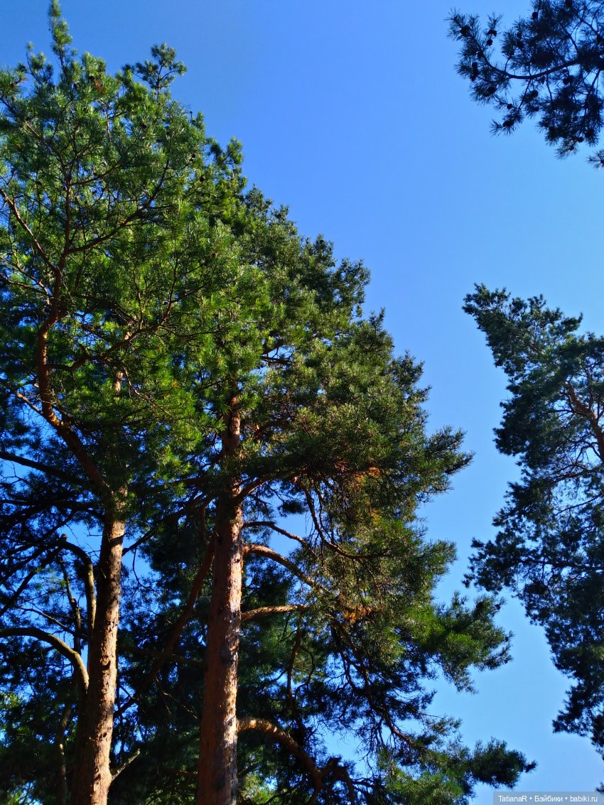 Дануткино лето на Финском заливе. Азиатские куклы Duoding Dokelly Toys