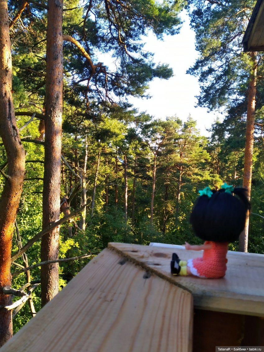 Дануткино лето на Финском заливе. Азиатские куклы Duoding Dokelly Toys (фото 2)