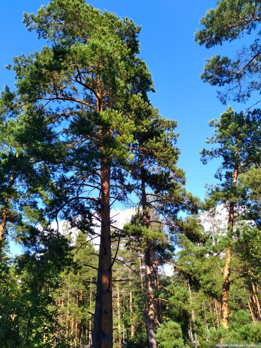 Дануткино лето на Финском заливе. Азиатские куклы Duoding Dokelly Toys (фото 3)