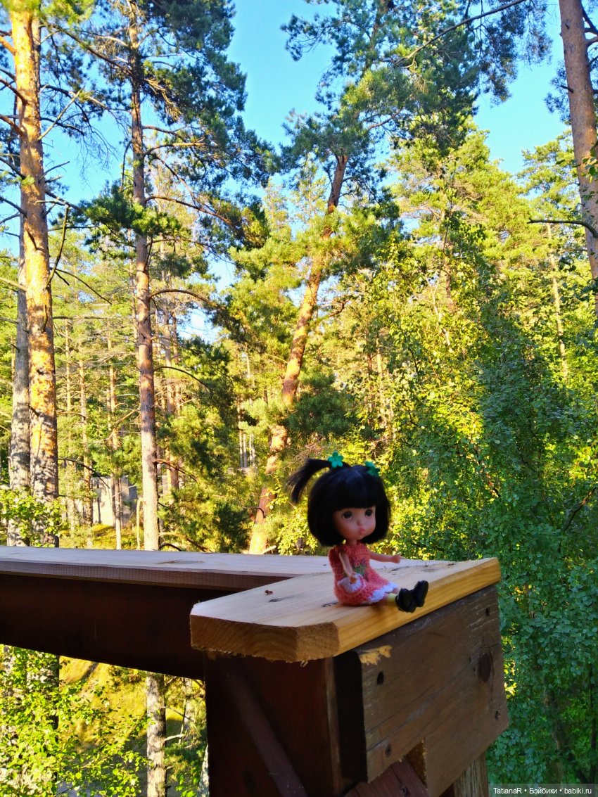 Дануткино лето на Финском заливе. Азиатские куклы Duoding Dokelly Toys